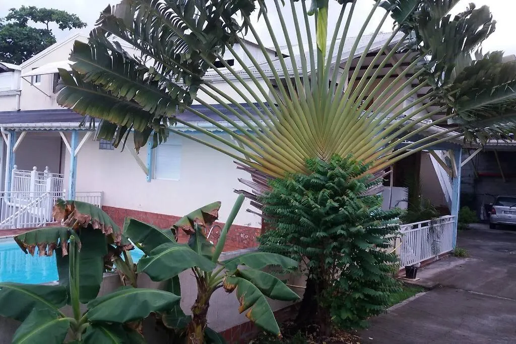 T4 Climatise Vue Mer Dans Villa Piscine Bouillante