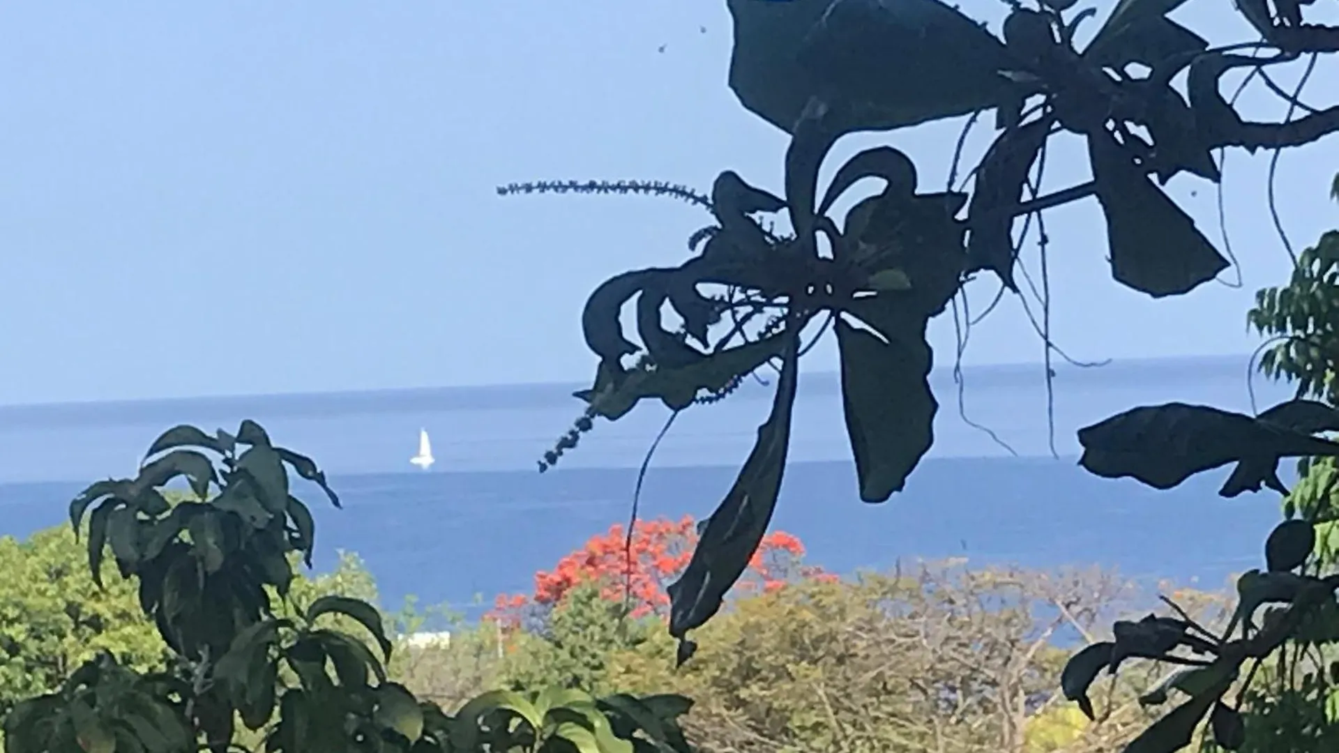 T4 Climatise Vue Mer Dans Villa Piscine Bouillante Appartamento