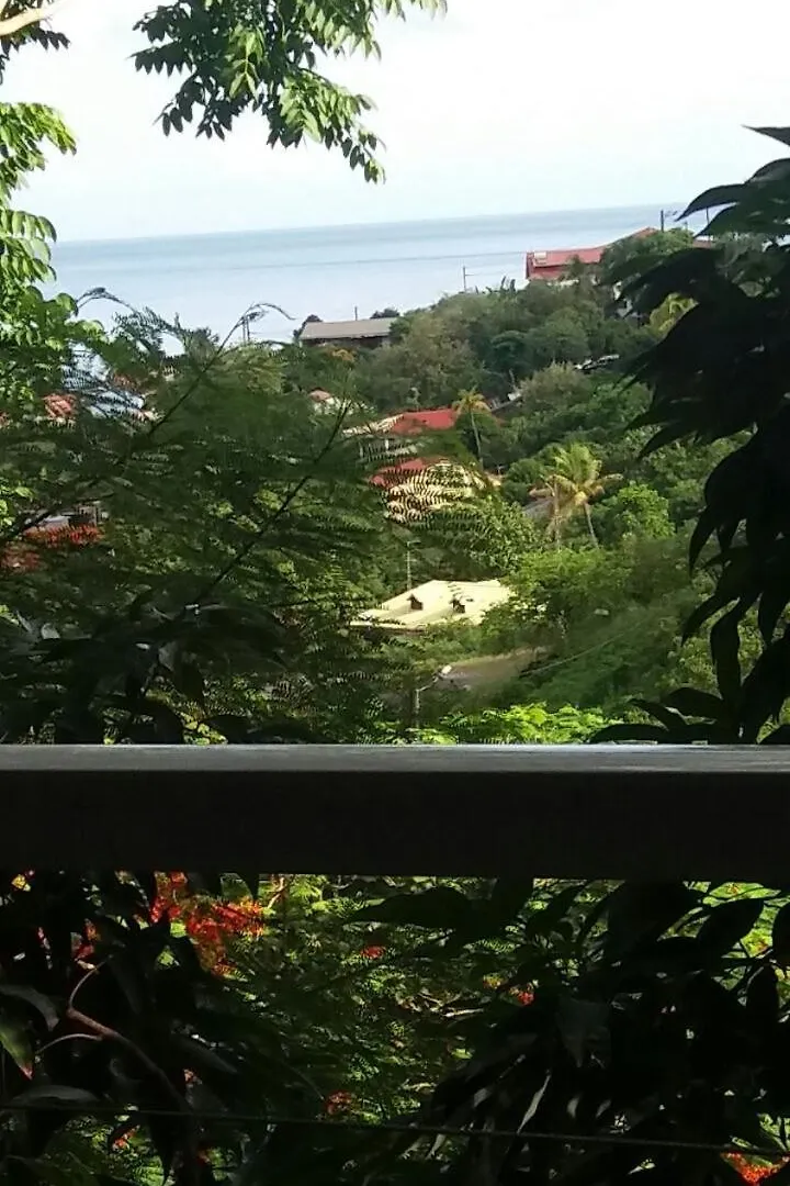 T4 Climatise Vue Mer Dans Villa Piscine Bouillante 0*,  Guadeloupe